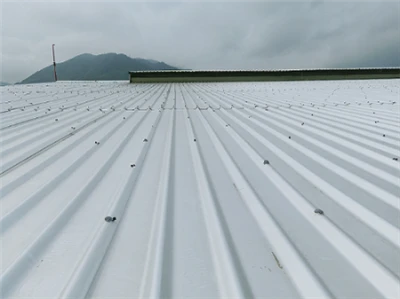 Effektiv og bæredygtig: Aluminium-magnesium-isoleringsfliser som forkant med ...